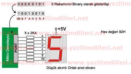 7 segment display example