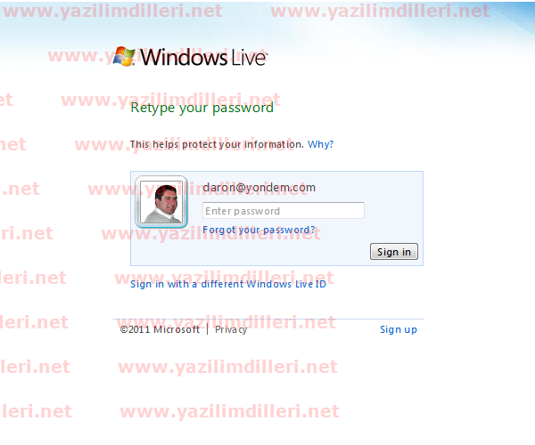 Description: Kullanıcı SkyDrive'a login oluyor bize izin vermek için.