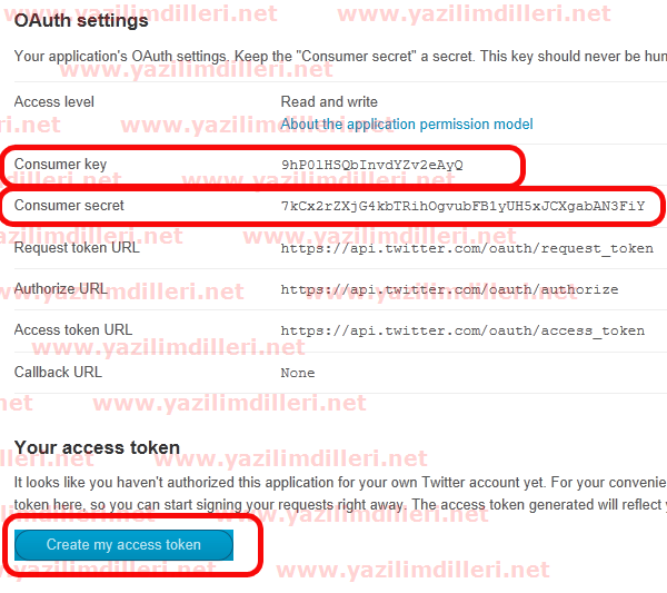 Description: Twitter'da keylerimiz ve kendi hesabımıza izin işlemi.