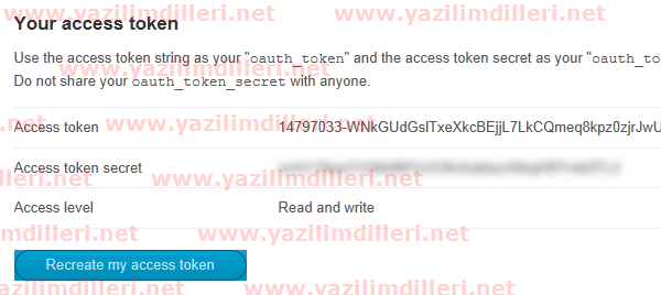 Description: Access Token'ımız da hazır.