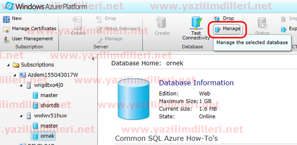 Açıklama: SQL Azure veritabanını yönetmek.