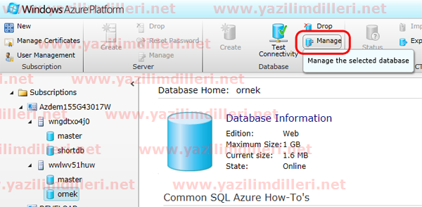 A&ccedil;ıklama: SQL Azure veritabanını y&ouml;netmek.