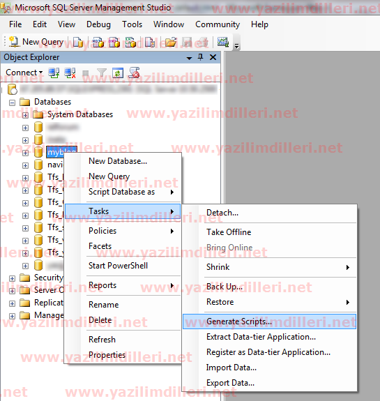 A&ccedil;ıklama: Bildiğimiz "Generate Scripts"