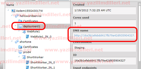 Açıklama: Staging için verilen adres.