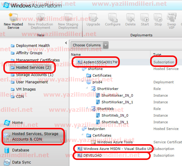 Açıklama: Azure ortamında hosted serviceler.