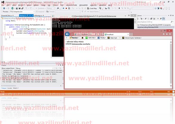 OWIN Dinaik çıktı katmanımızı da eklediken sonra elde ettiğimi sonuç
