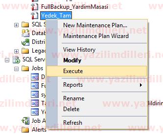 SQL Server Backup (Yedek) Alma