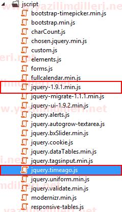 asp-net-proje-dizini-root