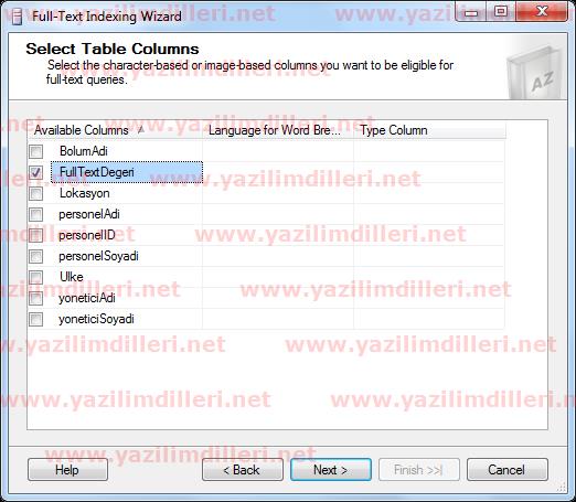 Full text Indexing WizardSelct Table Columns