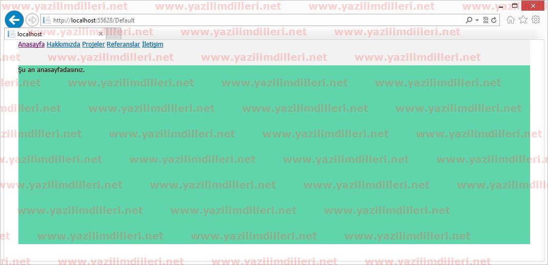 Asp.Net MVC Layout and Web Page