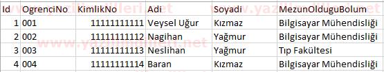 flat file database tablo yapısı