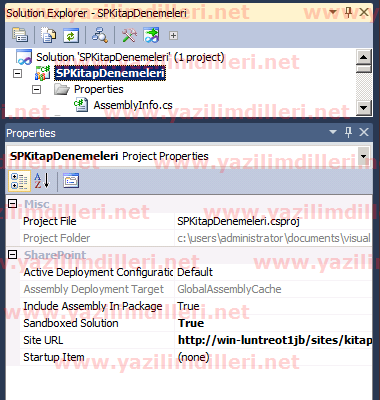 Description: C:\Users\Administrator\Desktop\Makale\SP2010_VisualStudio2010_Giris\SP2010_VisualStudio2010_Giris_3.png