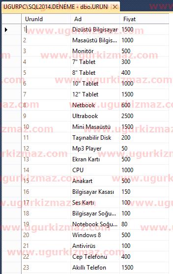 SQL Server örnek ürün tablosu