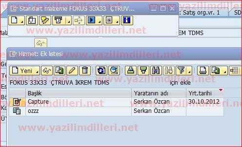 Sap Abap Malzeme Ana Verisindeki Ekleri Listeleme