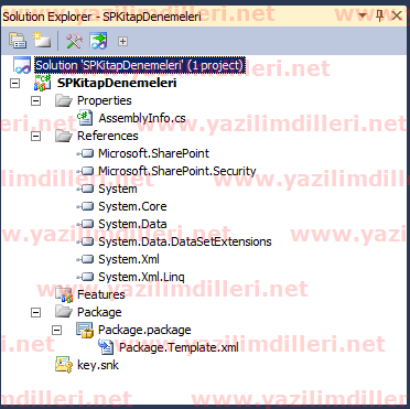 Description: C:\Users\Administrator\Desktop\Makale\SP2010_VisualStudio2010_Giris\SP2010_VisualStudio2010_Giris_2.png