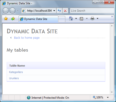 Dynamic Data Web Site'ın ilk görünümü.